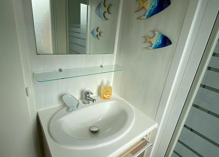 Les Pieds Dans L Eau